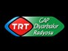 TRT Gap Diyarbakir Live