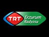 TRT Erzurum Radio Live