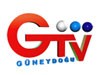 GTV Güneydoğu TV İzle