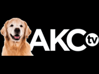 AKC TV