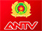 TV: ANTV
