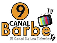 Canal 9 Barbe TV