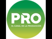 Canal Pro Canlı İzle
