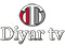 TV: Diyar TV