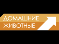 Domashnie Zhivotnye