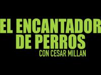 El encantador de perros