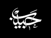 Habib TV