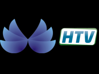 Hevizi TV Live Watch