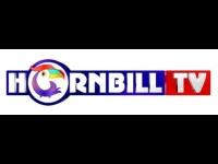 Hornbill TV
