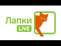 Lapki Live