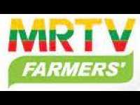 MRTV Farmer Canlı İzle