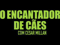 O Encantador de Caes