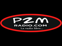 P2M TV