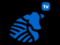 Productiva TV Canlı İzle