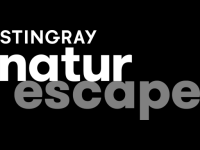 Stingray Naturescape