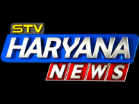 STV Haryana News