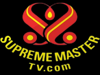Supreme Master TV