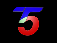 T5 Satelital