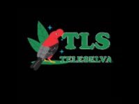 Teleselva