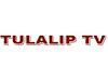 Tulalip TV live