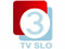 TV: RTV SLO 3