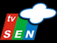 TV Sen Canlı İzle