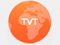 TV: TVT