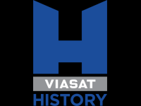 Viasat History